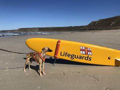 Führung und Interim Management