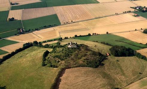Brot und Backwaren Interview Thomas Schulz