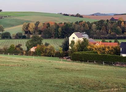 Baking + Biscuit Interview