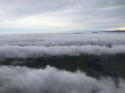 Heuse Studie - Qualität der deutschen Interim Provider